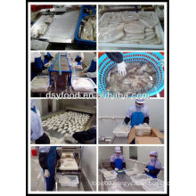 Squid tube production